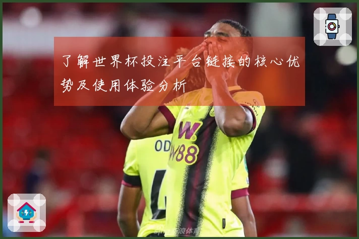 了解世界杯投注平台链接的核心优势及使用体验分析