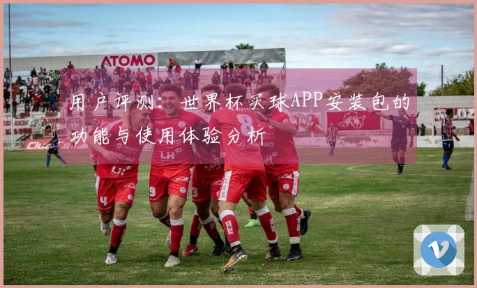 用户评测：世界杯买球APP安装包的功能与使用体验分析