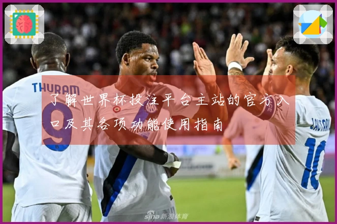 了解世界杯投注平台主站的官方入口及其各项功能使用指南