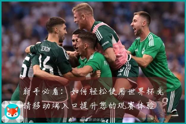 新手必看：如何轻松使用世界杯竞猜移动端入口提升您的观赛体验