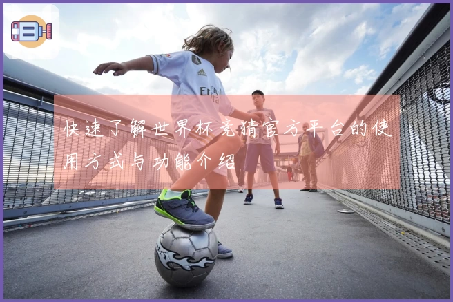 快速了解世界杯竞猜官方平台的使用方式与功能介绍