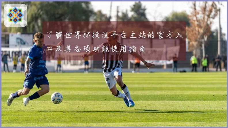 了解世界杯投注平台主站的官方入口及其各项功能使用指南