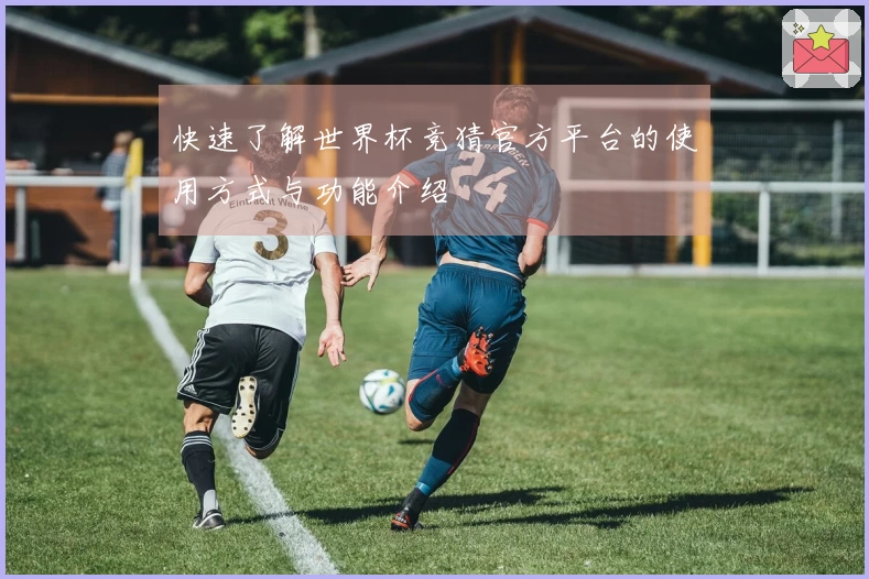快速了解世界杯竞猜官方平台的使用方式与功能介绍
